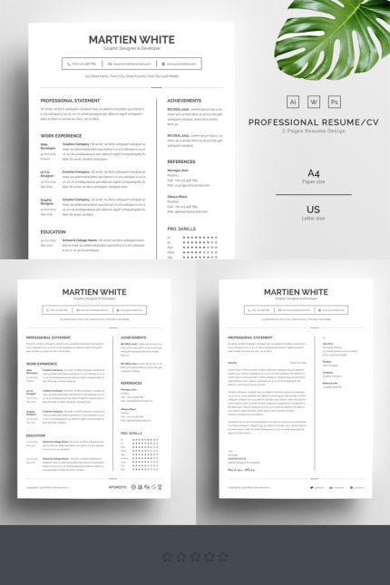 Kit Graphique #67730 Clean Resume Divers Modles Web - Logo template Preview