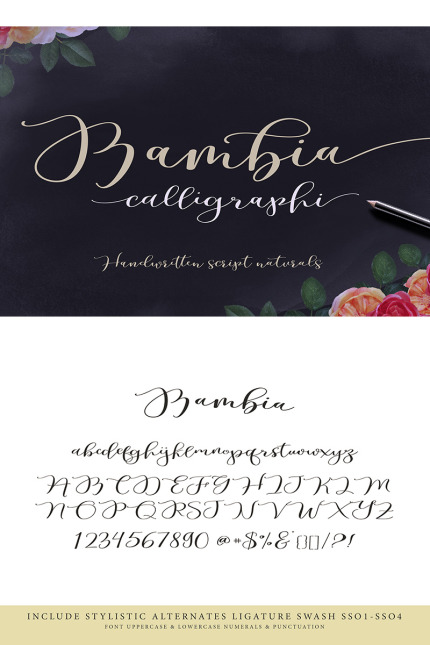 Kit Graphique #77186 Font Script Divers Modles Web - Logo template Preview