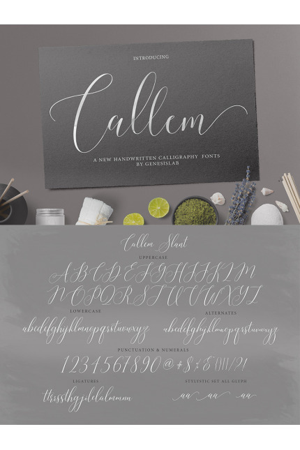 Kit Graphique #77201 Font Script Divers Modles Web - Logo template Preview