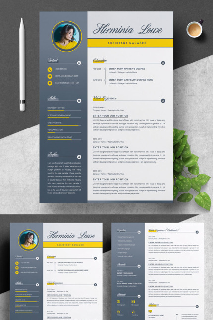 Kit Graphique #77949 Professional Resume Divers Modles Web - Logo template Preview