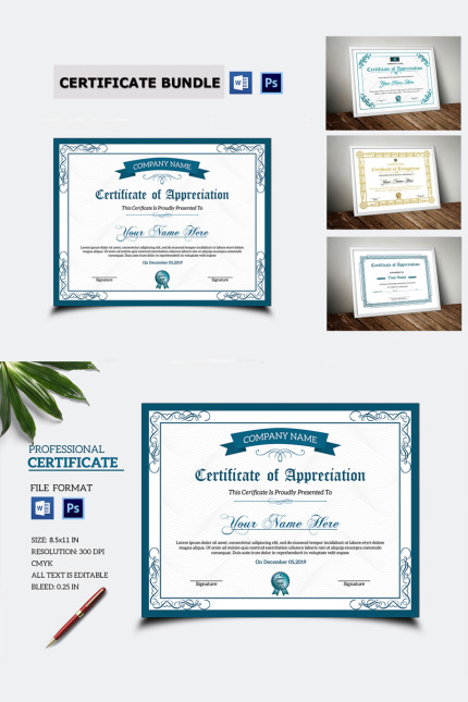 Kit Graphique #79370 Cetificate Appreciation Divers Modles Web - Logo template Preview