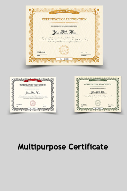 Kit Graphique #80461 Certificate Recognition Divers Modles Web - Logo template Preview