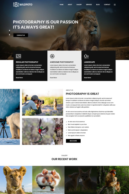 Kit Graphique #81182 Wildlife Photography Divers Modles Web - Logo template Preview