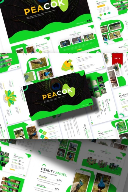 Kit Graphique #85871 Peacock Bird Divers Modles Web - Logo template Preview