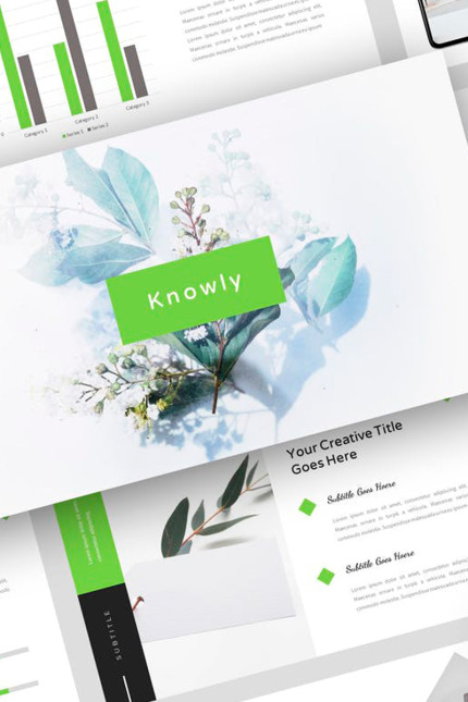 Kit Graphique #87770 Presentation Toboggans Divers Modles Web - Logo template Preview