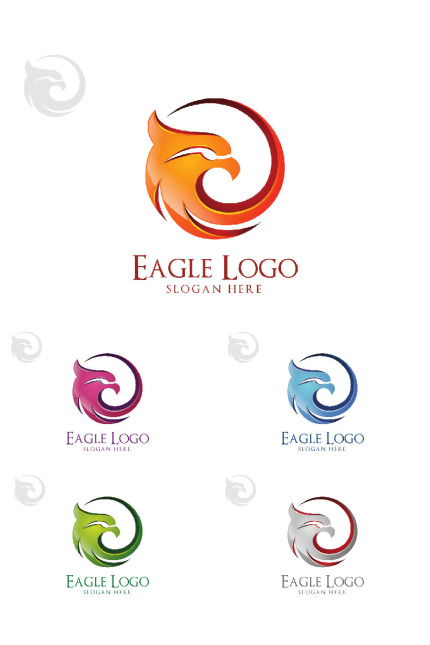 Kit Graphique #90430 Eagle Hawk Divers Modles Web - Logo template Preview