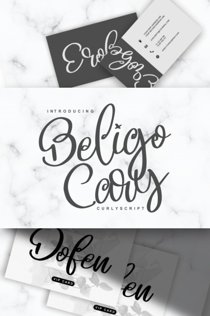 Kit Graphique #93407 Script Font Divers Modles Web - Logo template Preview