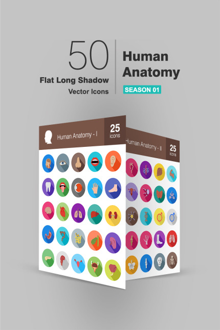 Kit Graphique #93742 Anatomy Icon Divers Modles Web - Logo template Preview